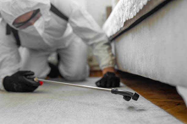 Professional Bed Bug Control technician working in Raubsville, PA