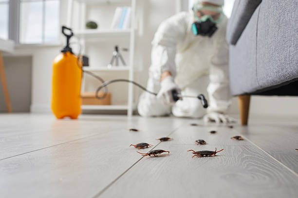 Trusted Cockroach Control service in Raubsville, PA - Nex Pest Control