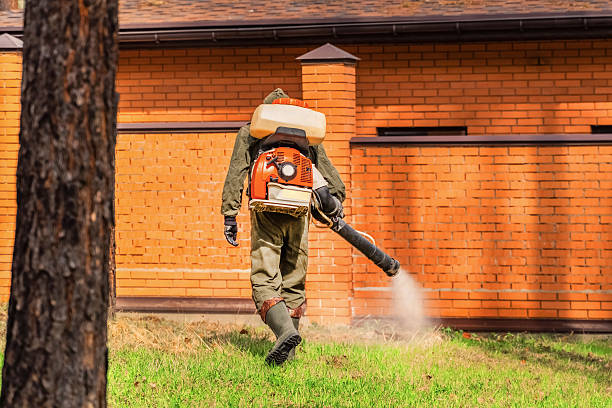 Trusted Rodent Control service in Raubsville, PA - Nex Pest Control